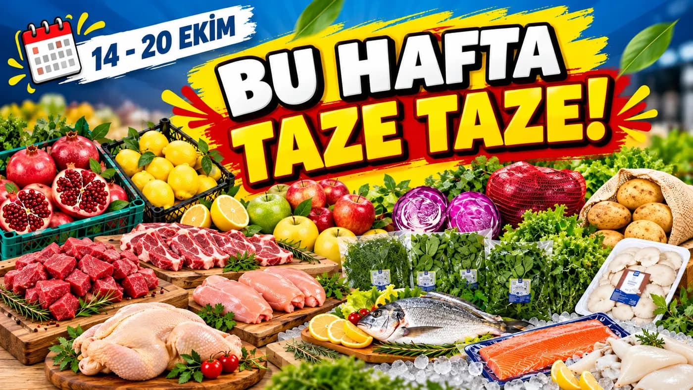 METRO katalog görseli